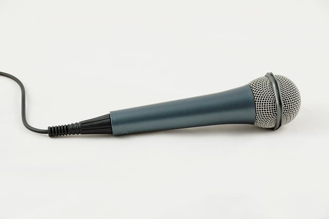 microphone.jpg